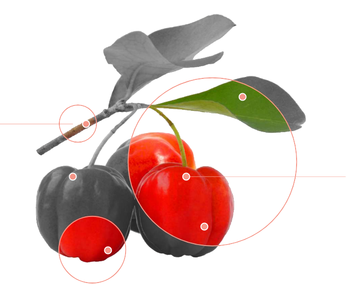Acelora Cherry